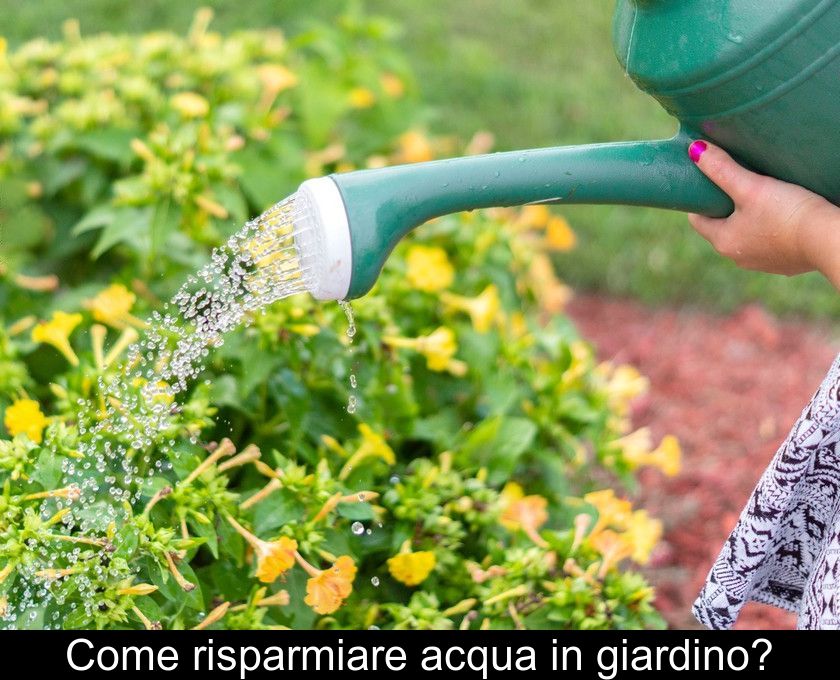 Come Risparmiare Acqua In Giardino?