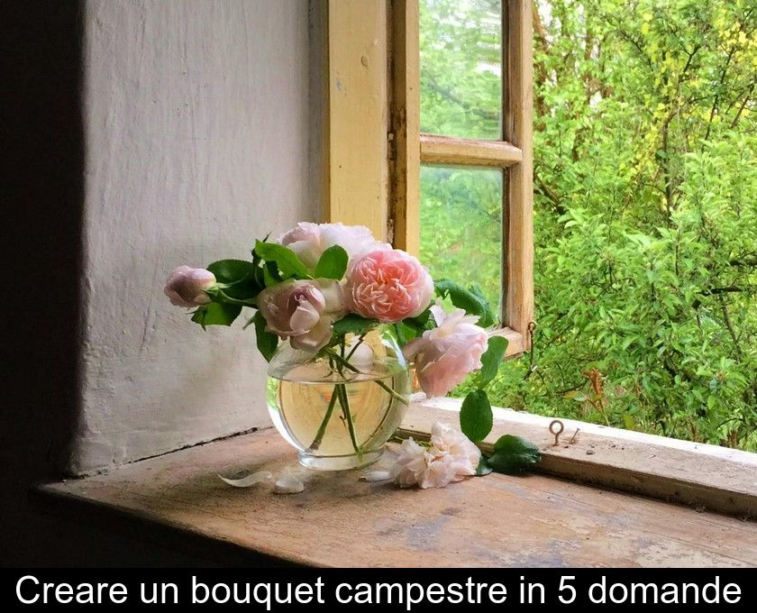 Creare Un Bouquet Campestre In 5 Domande