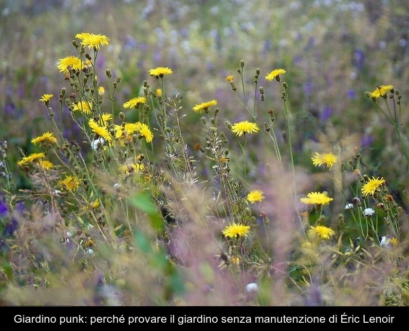 Giardino Punk: Perché Provare Il Giardino Senza Manutenzione Di Éric Lenoir