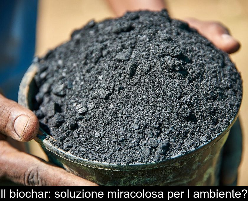 Il Biochar: Soluzione Miracolosa Per L'ambiente?