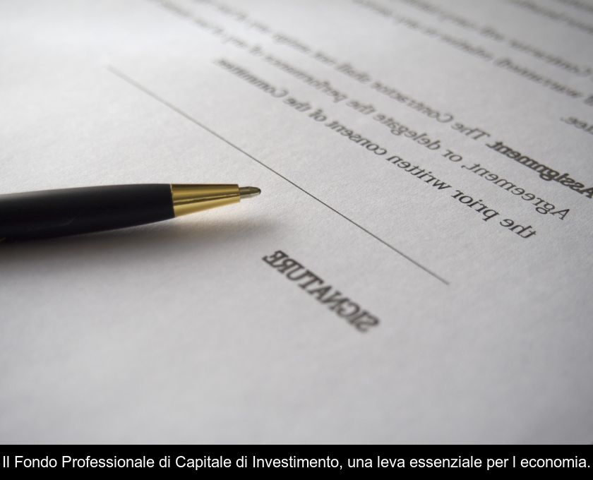 Il Fondo Professionale Di Capitale Di Investimento, Una Leva Essenziale Per L'economia.