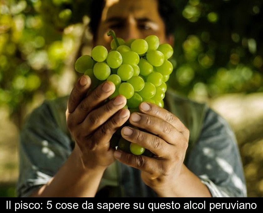 Il Pisco: 5 Cose Da Sapere Su Questo Alcol Peruviano