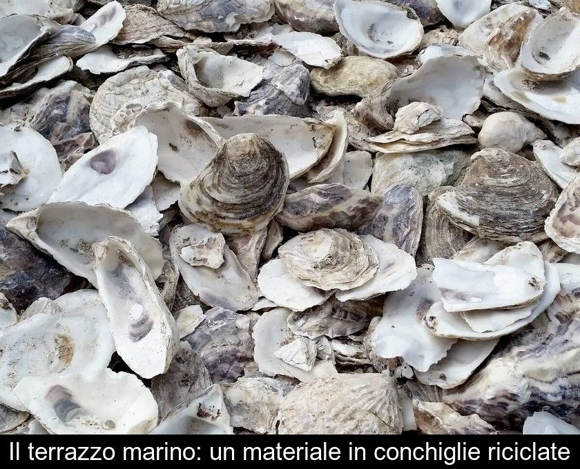 Il Terrazzo Marino: Un Materiale In Conchiglie Riciclate