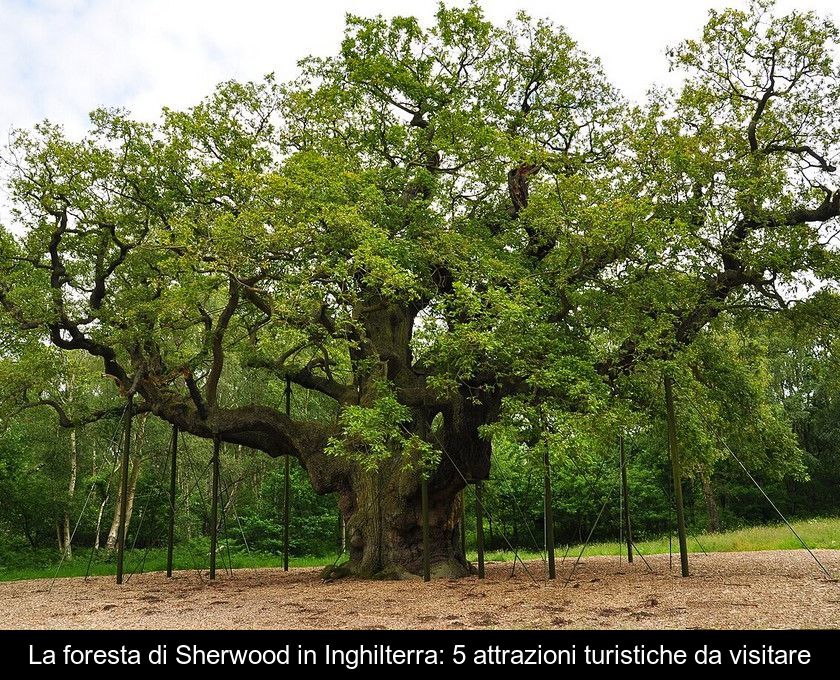 La Foresta Di Sherwood In Inghilterra: 5 Attrazioni Turistiche Da Visitare