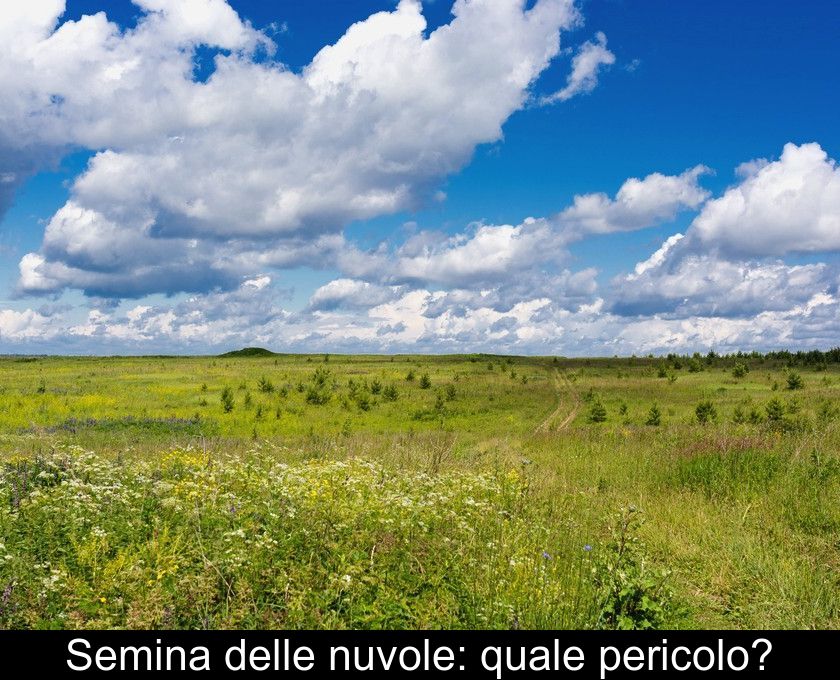 Semina Delle Nuvole: Quale Pericolo?