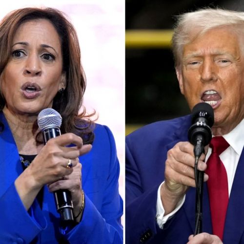 Harris contro Trump: come seguire le elezioni presidenziali americane in televisione?