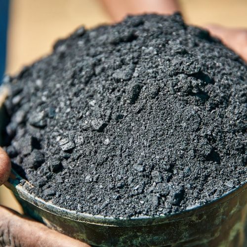 Il biochar: soluzione miracolosa per l'ambiente?