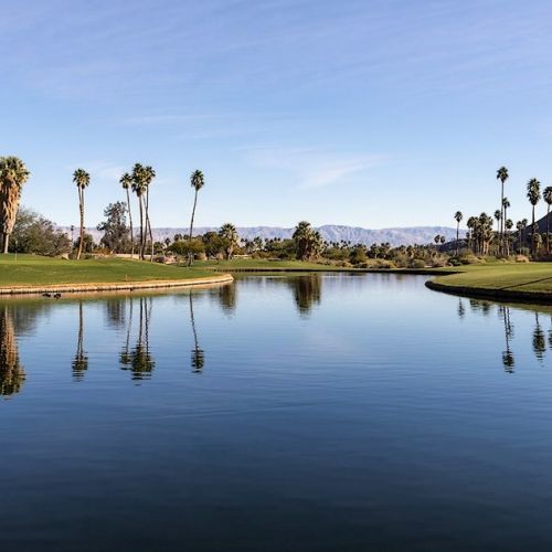 Palm Springs: un'oasi nel deserto della California