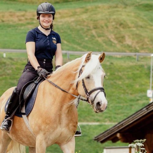 Turismo equestre in Occitania: una nuova piattaforma per pianificare i vostri itinerari.