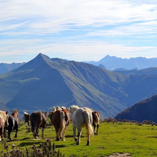 Vacanze in montagna: verso un turismo quattro stagioni